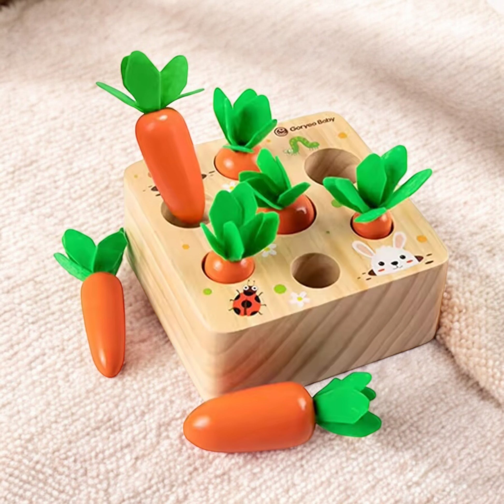 jeu carotte montessori